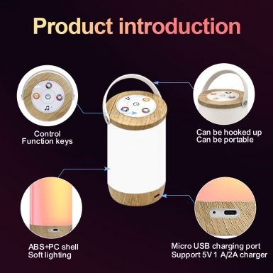 LED室内灯 - HCP030 手提氛围灯